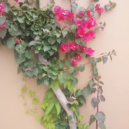 Appartement Sirocco Hersónissos